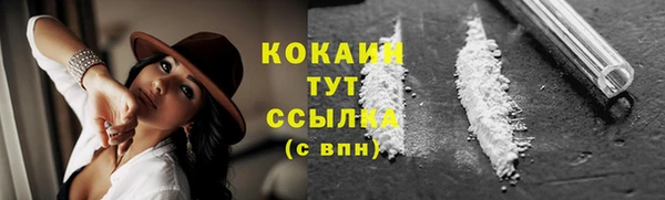 спиды Михайлов