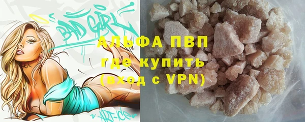 спиды Михайлов