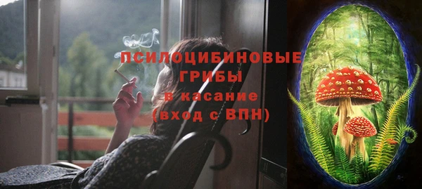 спиды Михайлов