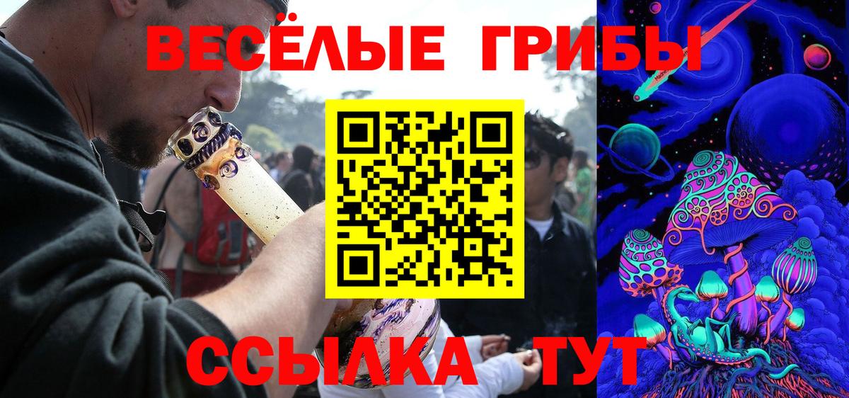 Псилоцибиновые грибы GOLDEN TEACHER Новоалтайск