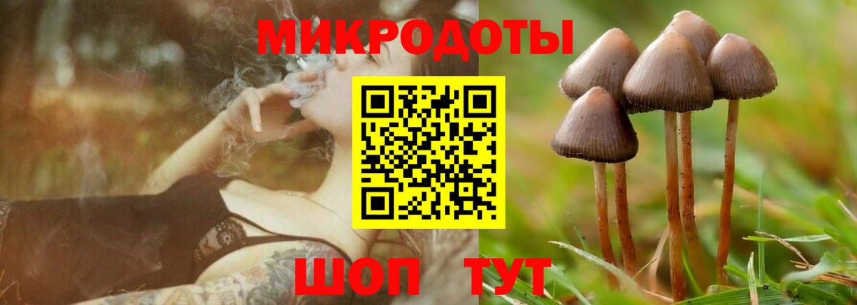 Галлюциногенные грибы Psilocybe  Псилоцибиновые грибы Cubensis  закладка  Новоалтайск 