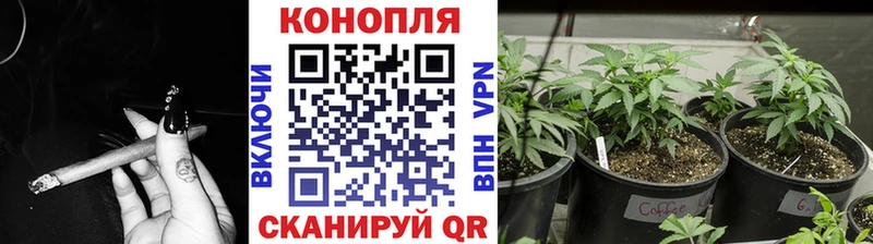 купить  цена  Новоалтайск  МАРИХУАНА конопля 