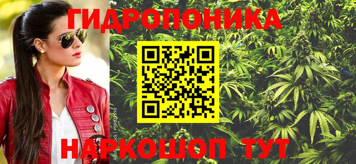 Конопля Ganja Новоалтайск